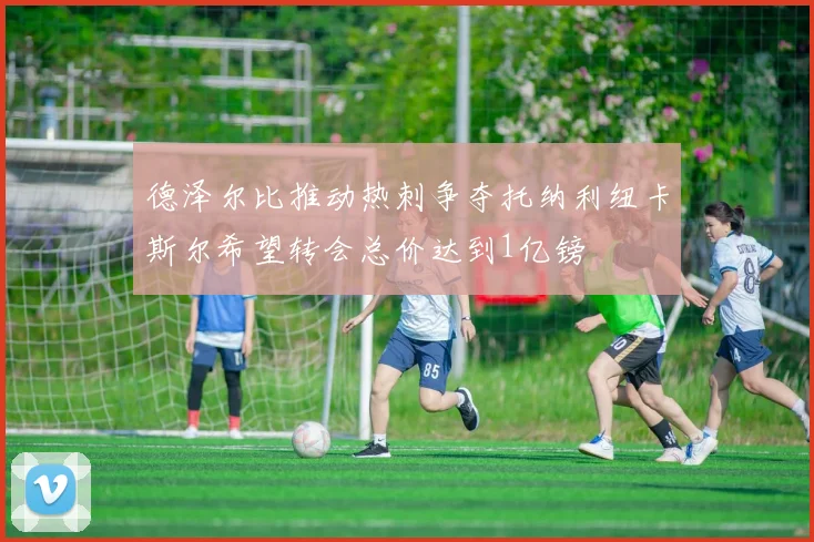 德泽尔比推动热刺争夺托纳利纽卡斯尔希望转会总价达到1亿镑